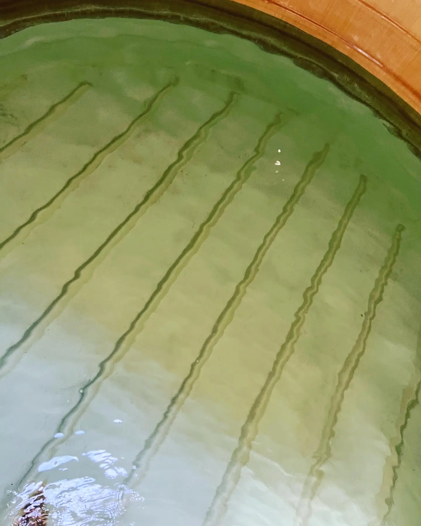 Clean water tank interior filled with clear water after professional cleaning.