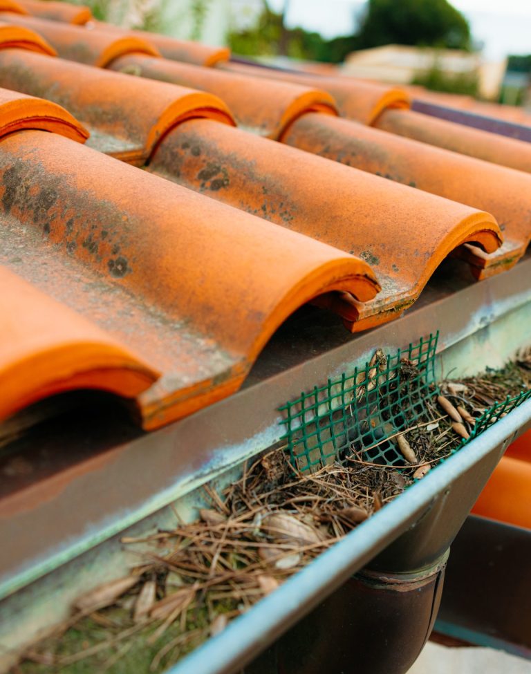 Clogged gutter with dry leaves and pine needles on residential house roof